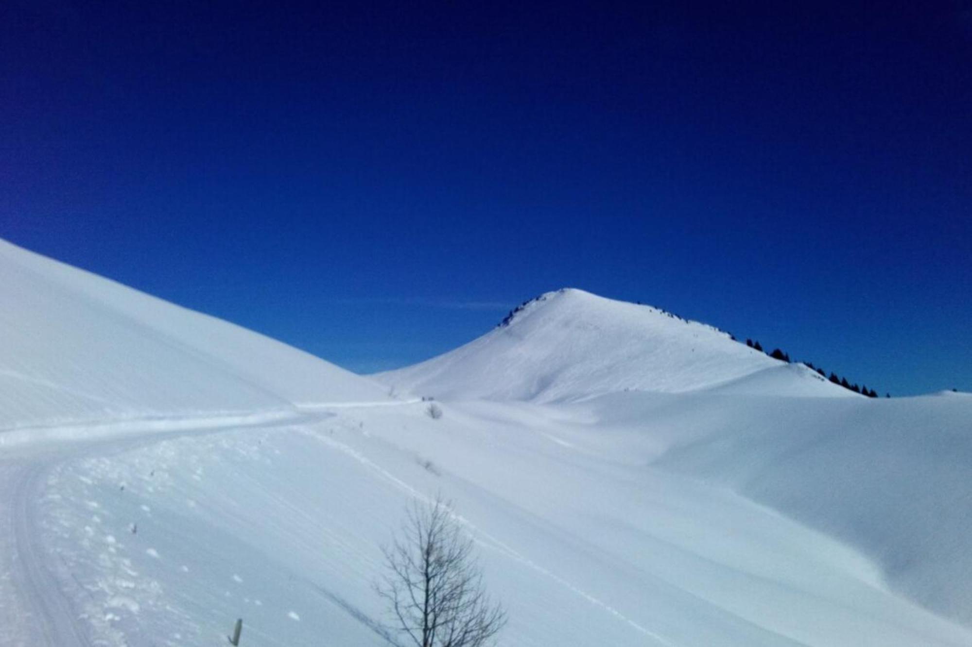 At The Heart Of The Chartreuse Regional Park Villa Saint-Pierre-de-Chartreuse Esterno foto